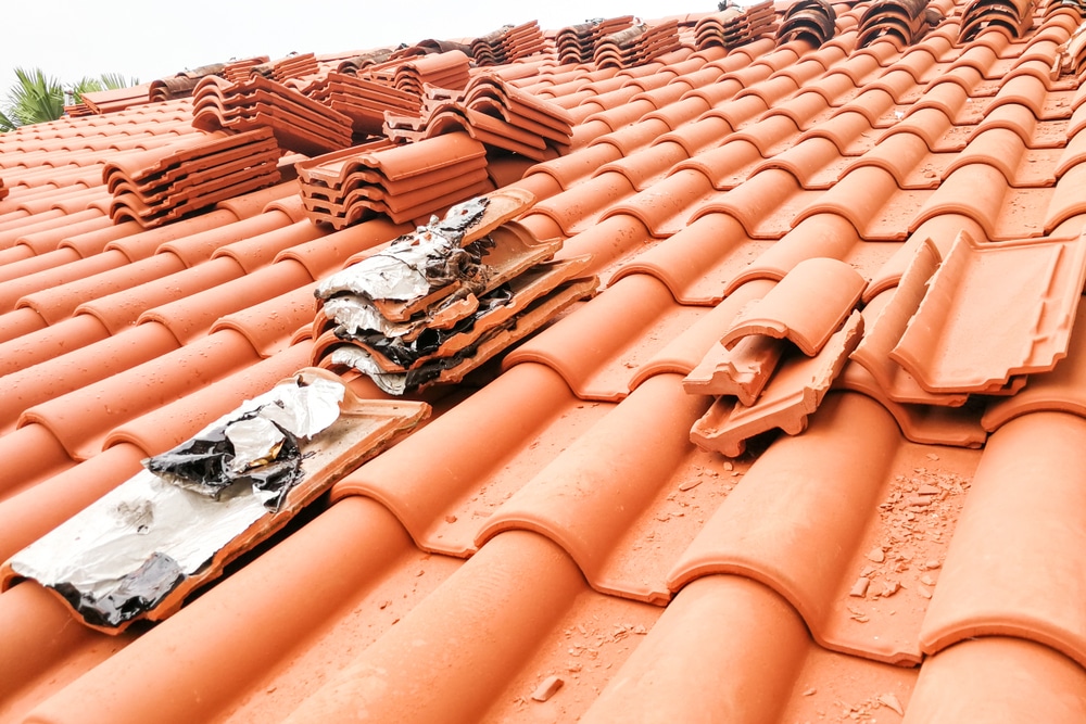 Top Signs It’s Time for a Roof Restoration, Not Just a Repair