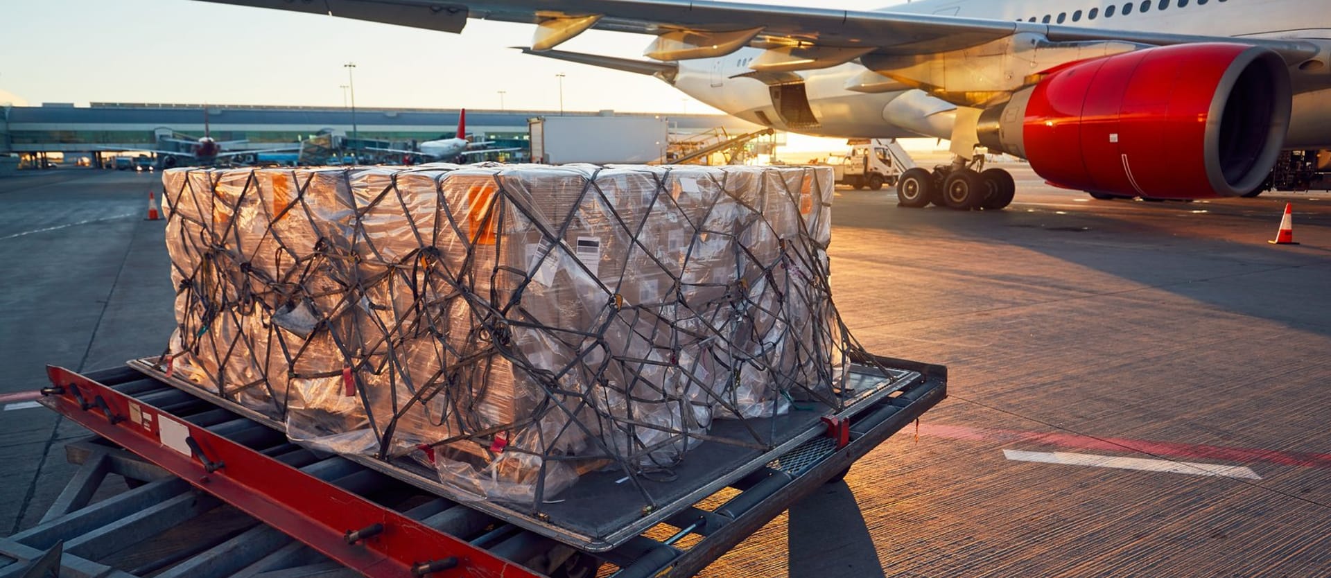 Freight Management and How It Works: Main Processes and Software