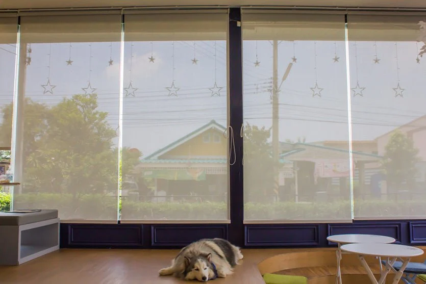 Privacy and Light Control: Finding the Right Blind Solution